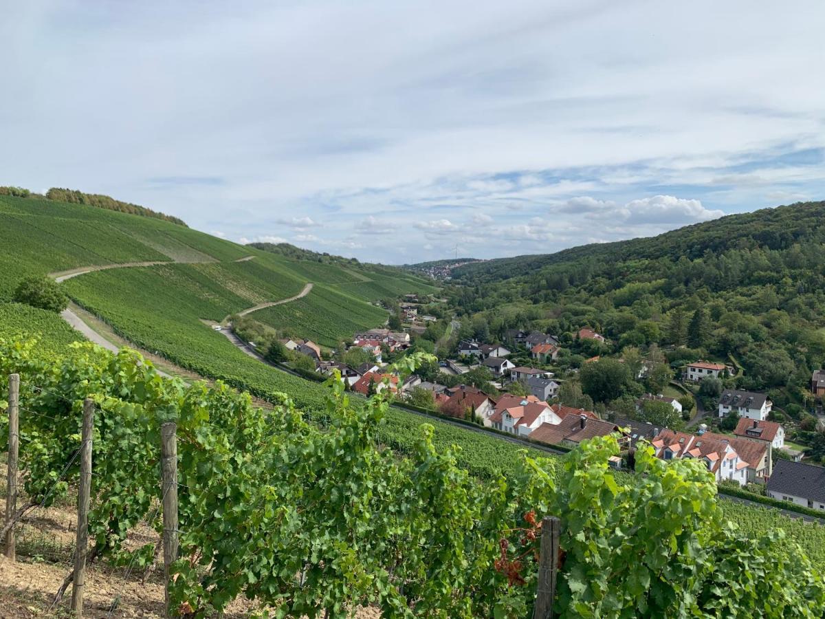 Modernes Penthouse, Nahe Wuerzburg Daire Dış mekan fotoğraf